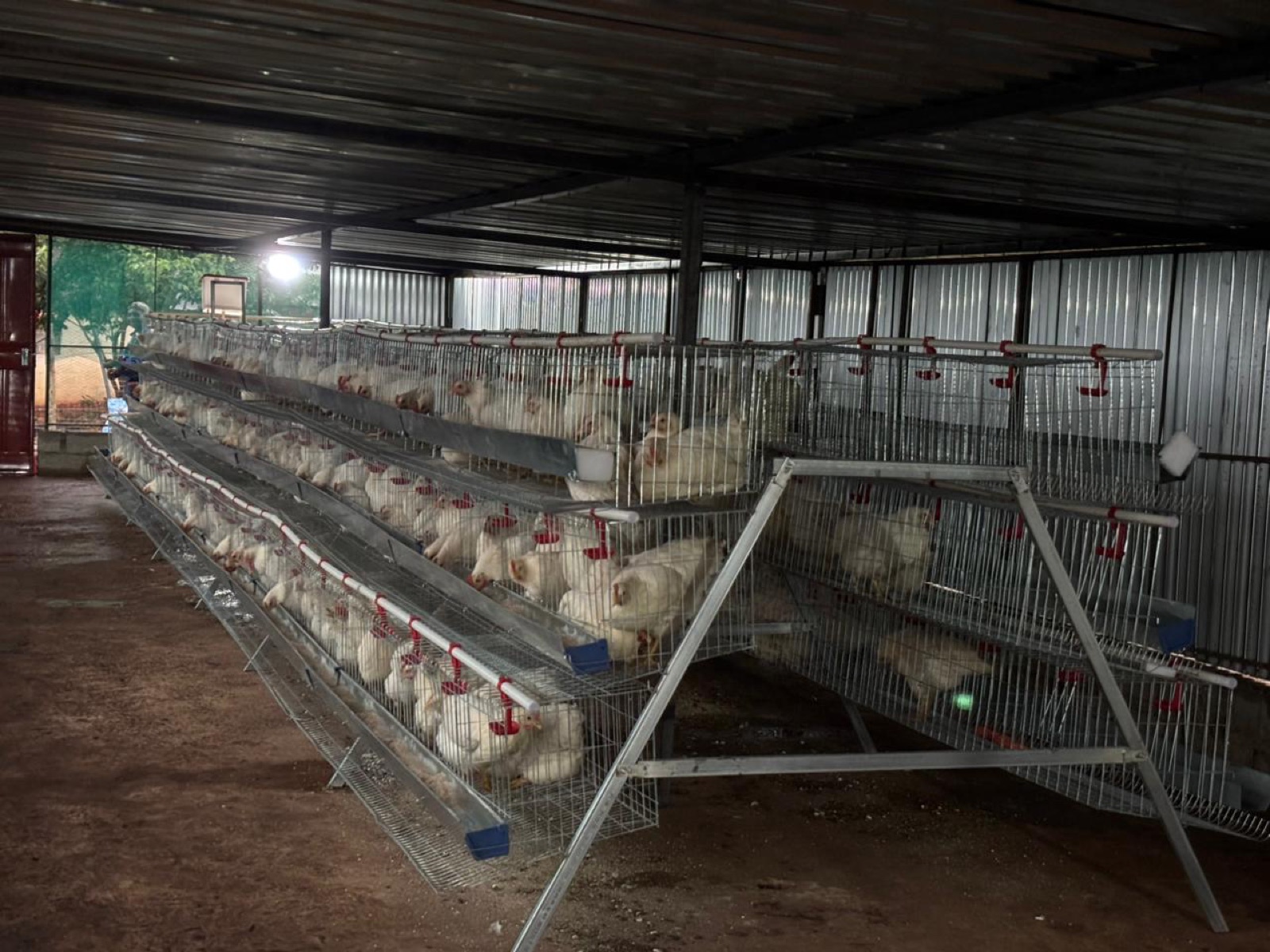 Poultry cooperative housing